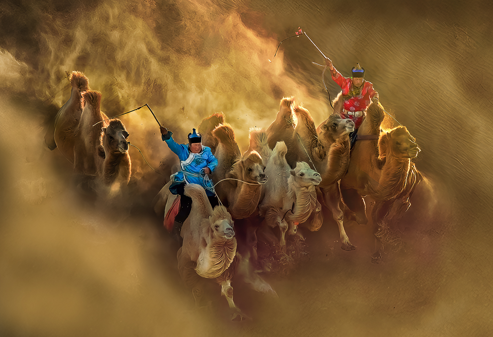 Chin Tzu Weng (Taiwan) Camel washing in the sand 12033